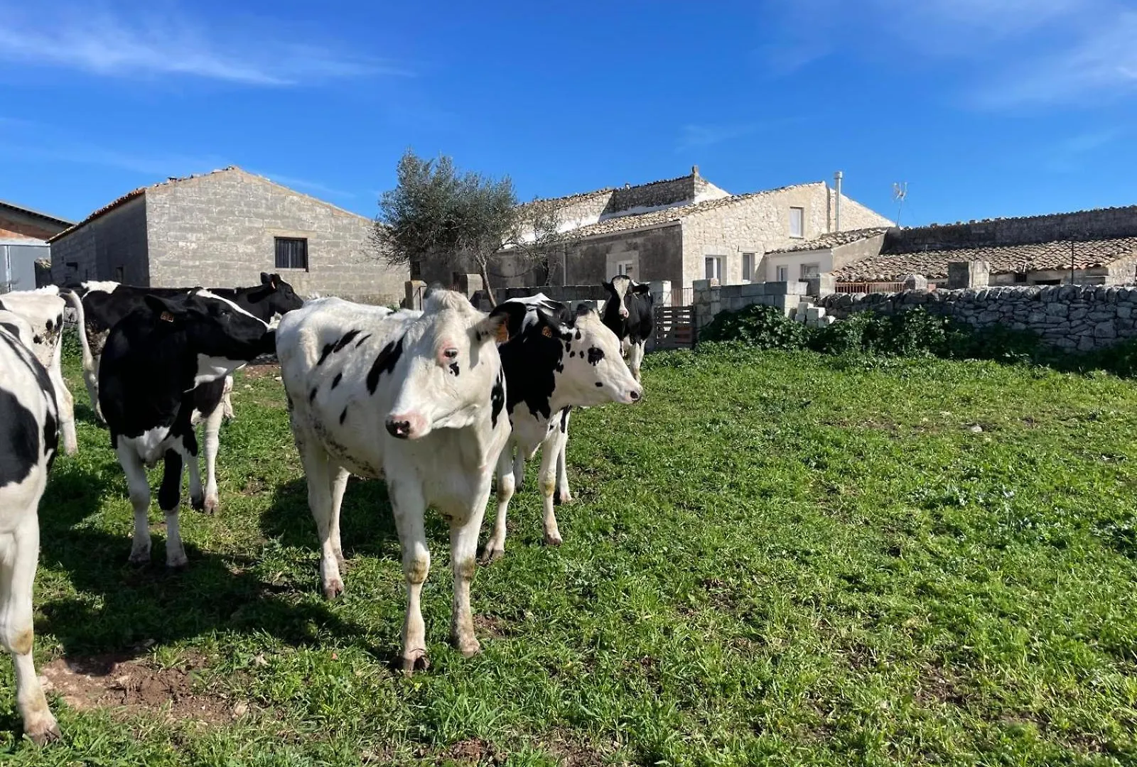 Holiday home La Cascina Di Stefania Villa Ragusa