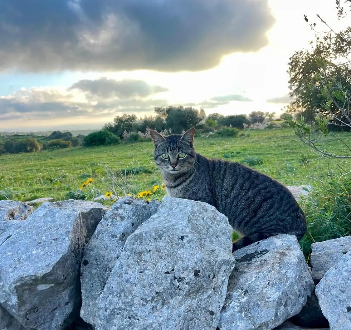 La Cascina Di Stefania Villa Ragusa Holiday home
